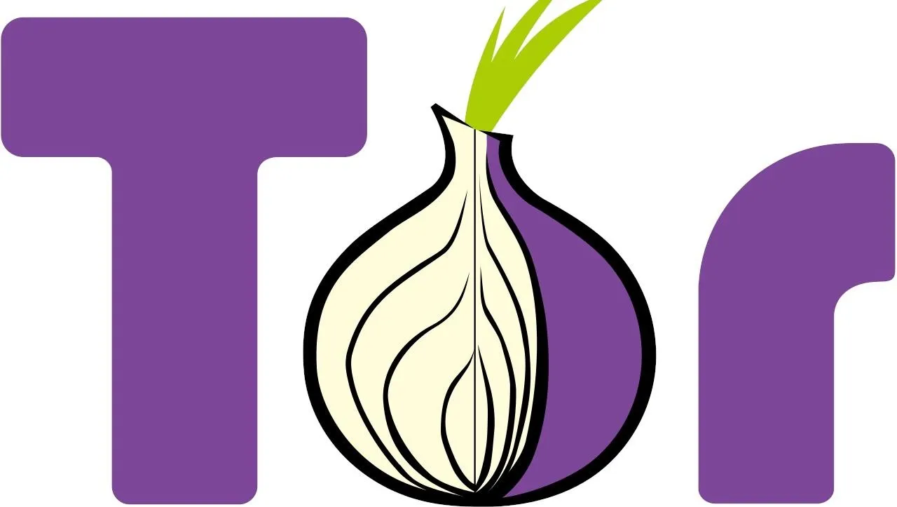 Tor logo featuring a stylized onion with green leaves and purple text.