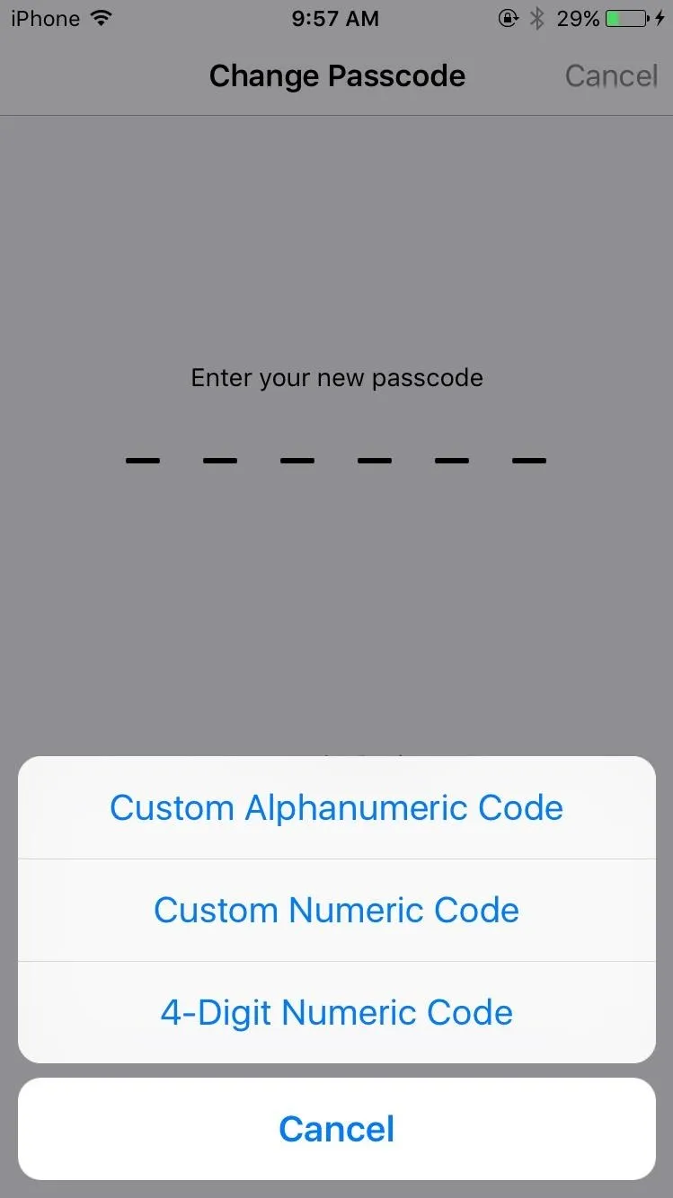 Interface for changing password with options for custom codes.