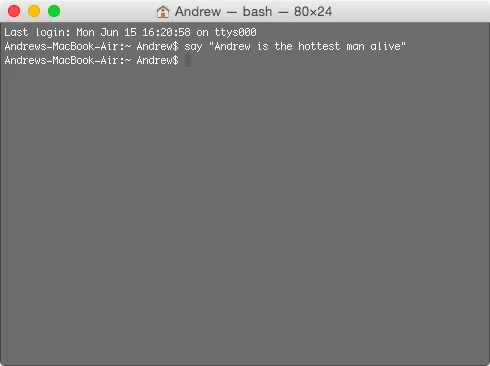 Terminal window displaying command-line text.