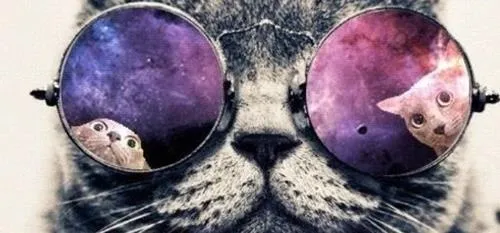 Cat wearing sunglasses with a cosmic background reflection.