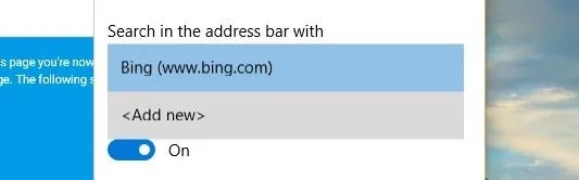 Search settings menu with Bing highlighted as the default search engine.