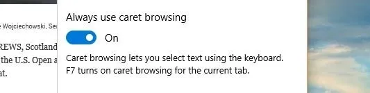 Always use caret browsing setting in a browser.