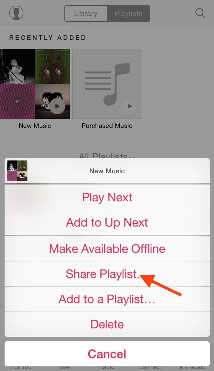 Playlist options in a music app with a highlighted "Share Playlist" button.