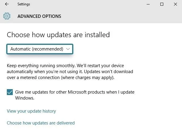 Settings menu showing update installation options for Windows.