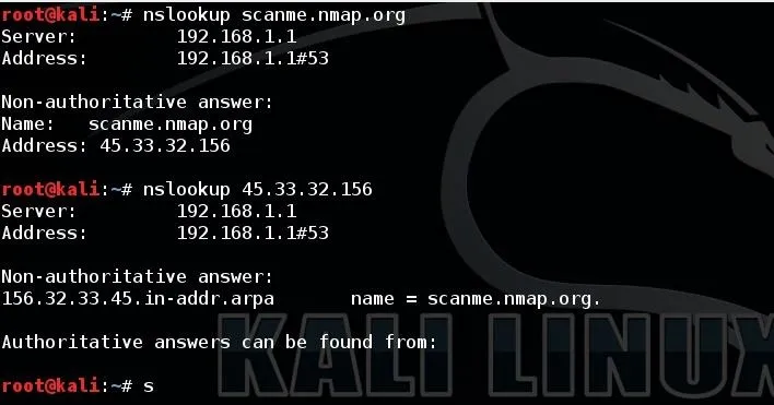 Command line output showing DNS lookup information on Kali Linux.