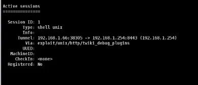Active shell session information displayed in terminal format.