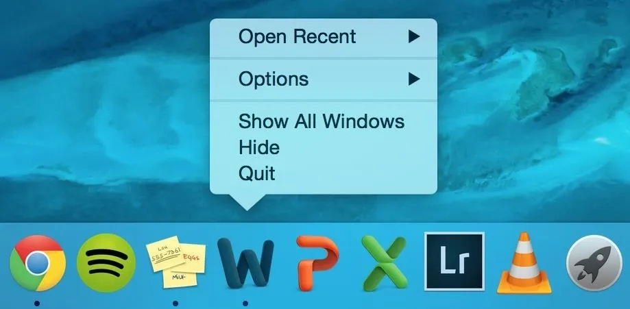 Menu options from a software application displayed on a computer screen.