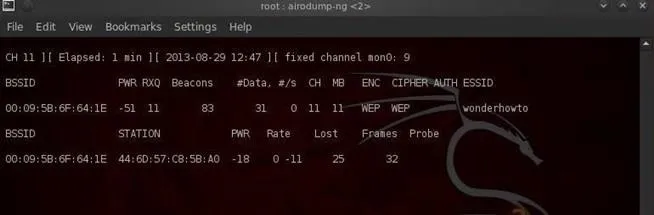 Terminal window displaying system information and network statistics.