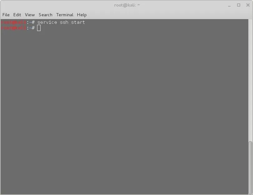 A computer screen displaying a command-line interface with a simple prompt.