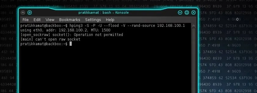 Terminal window displaying a command line interface with text output.