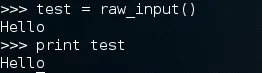 Code snippet demonstrating input and output in a programming environment.