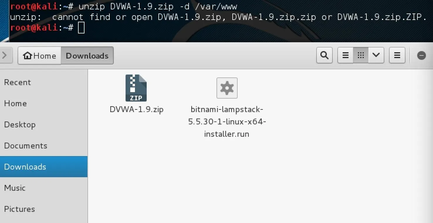 File management interface displaying a downloaded file named "DWM-1.9.zip" in a Downloads folder.
