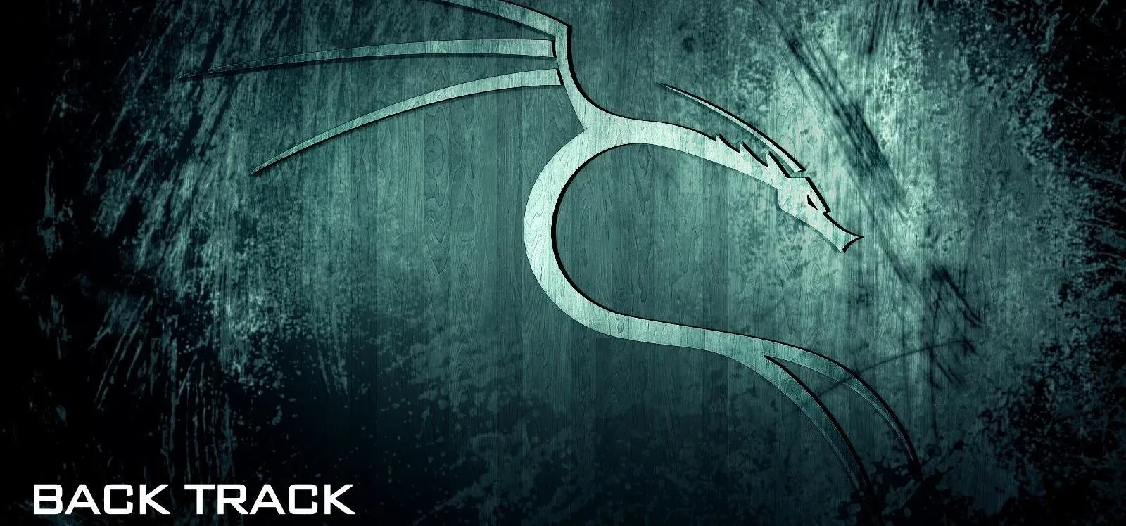 Kali Linux Problem. cover