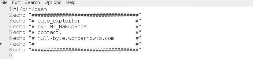 Don't Be a Script-Kiddie part2: Building an Auto-Exploiter Bash Script