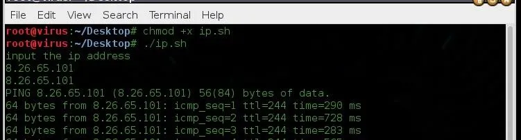 Terminal output displaying IP address information and ping results.