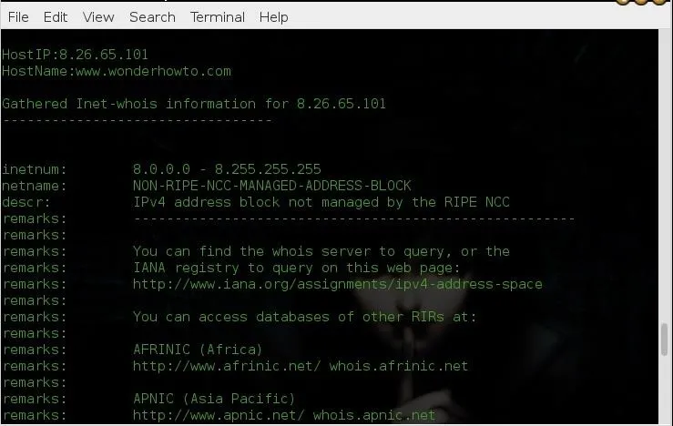Command line interface displaying IP address information and network details.
