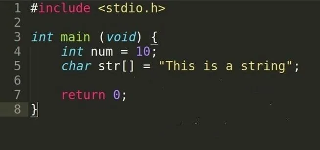 Code snippet of a simple C program that initializes an integer and a string.