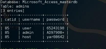 Database table displaying user credentials in Microsoft Access.