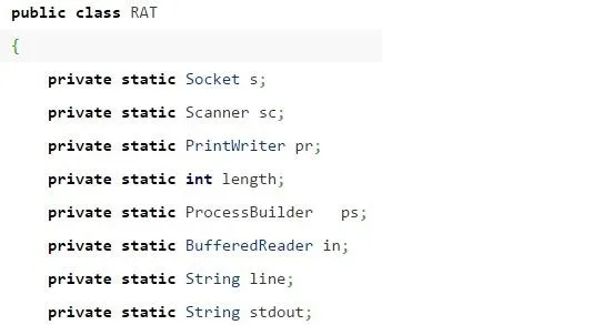Java code snippet defining a class named 'RAT' with various variable declarations.