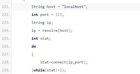 Code snippet demonstrating a network connection in a programming language.