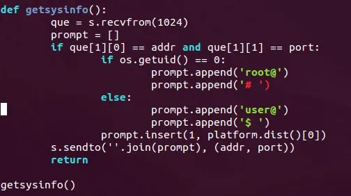 Code snippet demonstrating a function for retrieving system information.