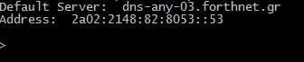 DNS server information displayed in a command prompt.