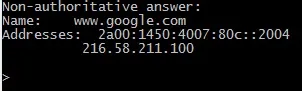 Output of a command line showing Google's website and its IP addresses.