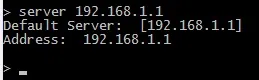 Command prompt display showing server IP address information.