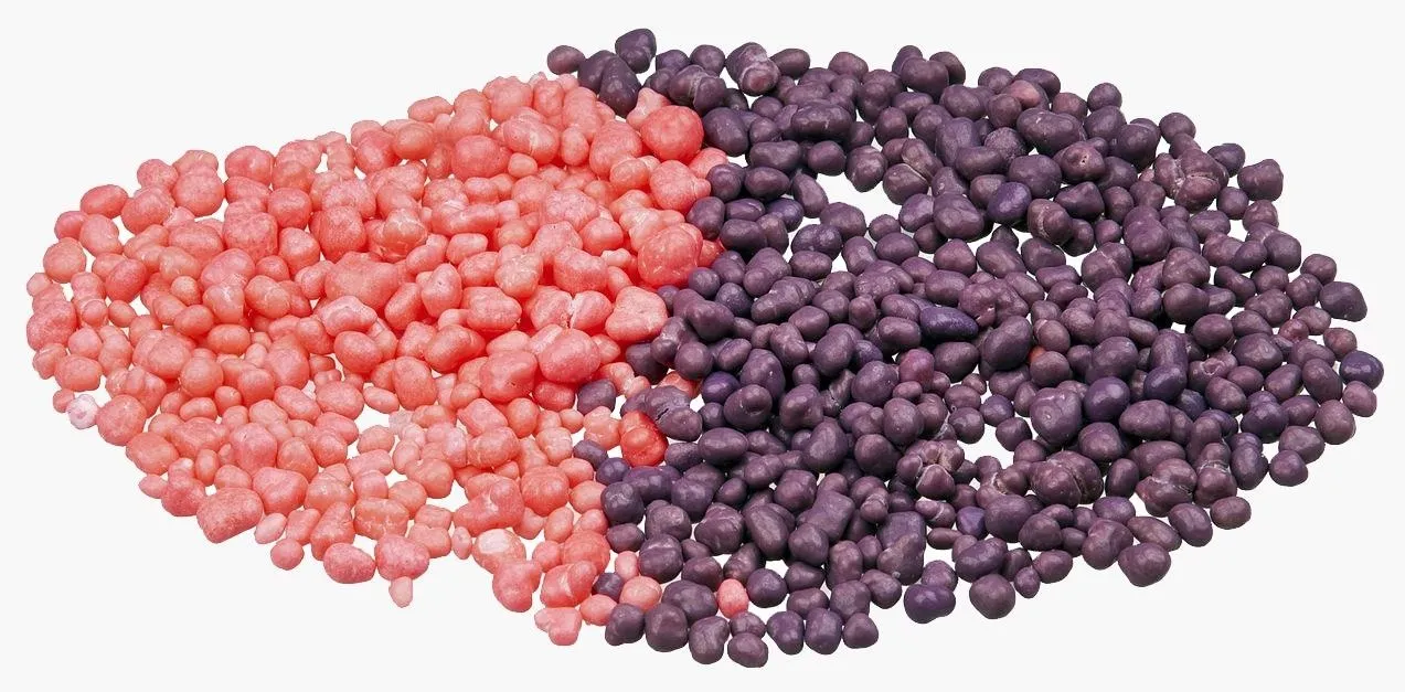 Colorful assortment of small grains or seeds in pink and purple hues.