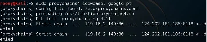Code terminal output showcasing network configurations and script details.