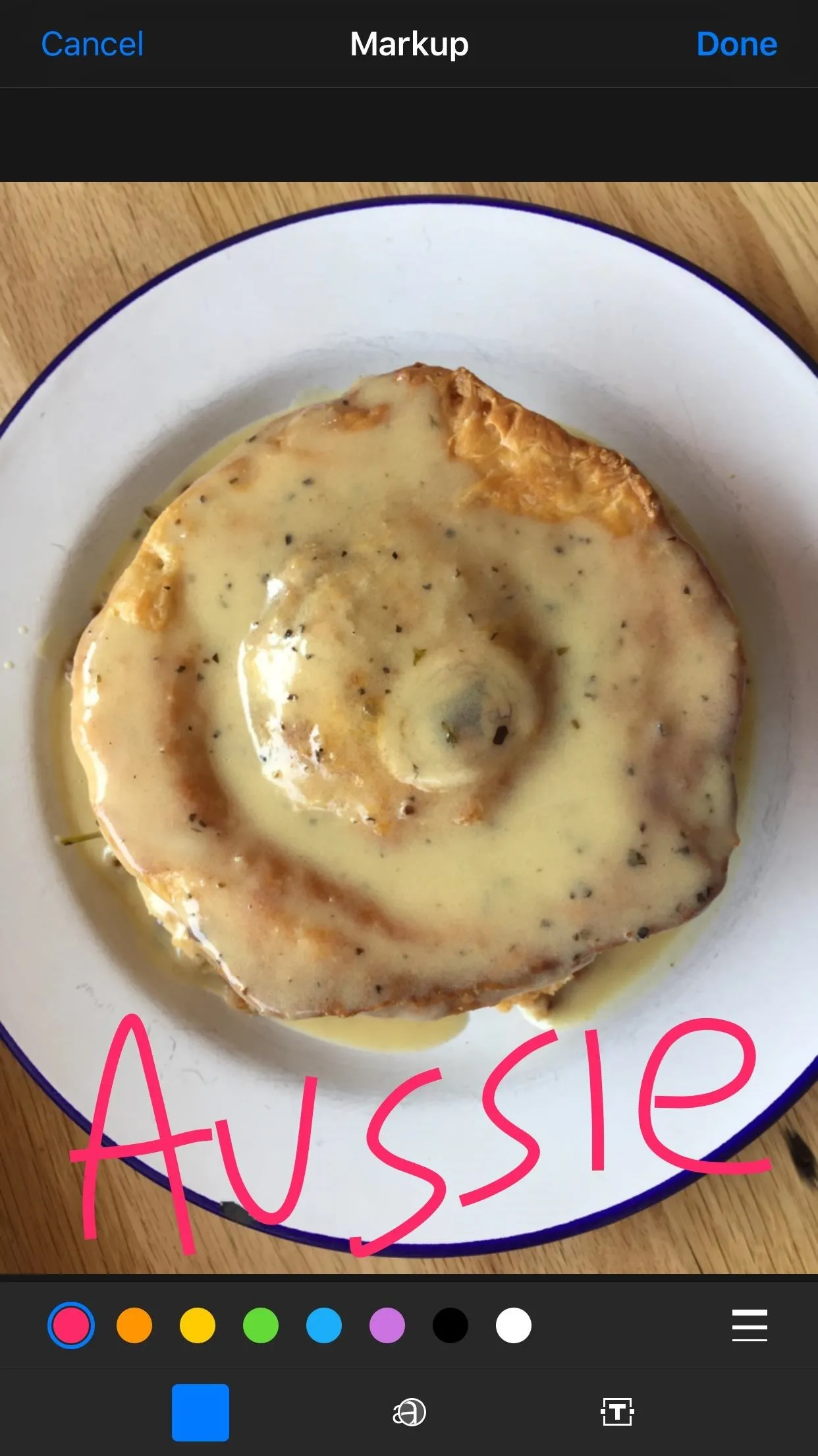 Aussie-style meat pie on a plate.