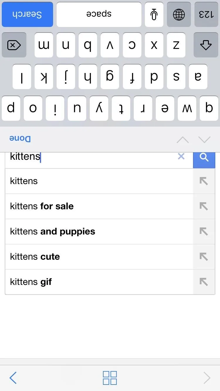 Search suggestions for "kittens" on a mobile device.