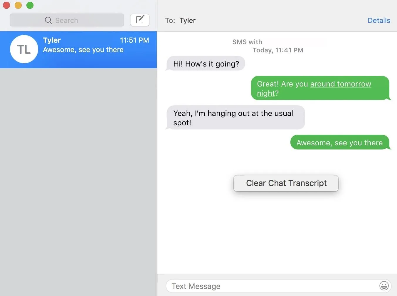 Chat conversation between two individuals discussing their plans.