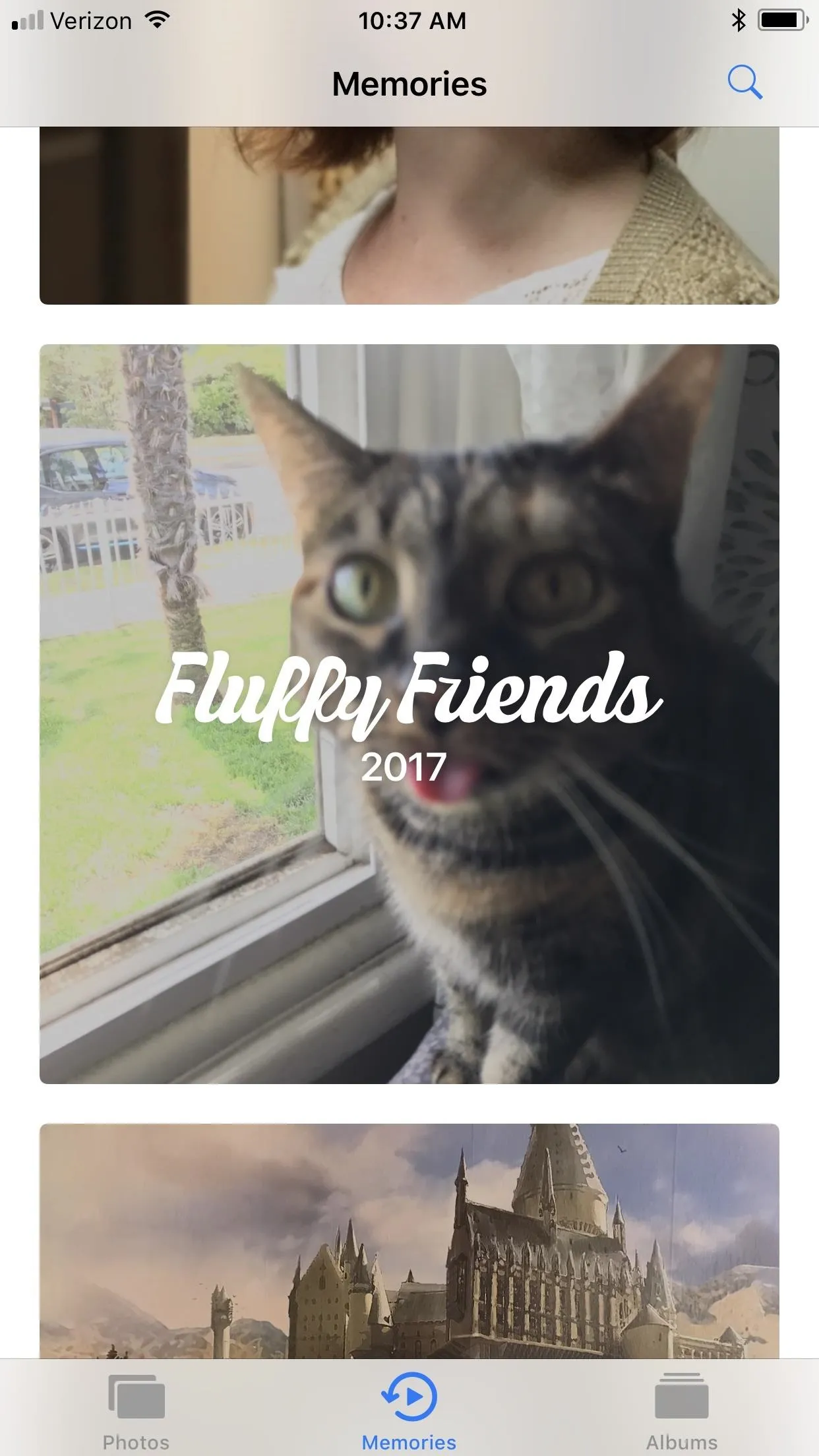 A cat looking out of a window with the text "Fluffy Friends" overlayed.