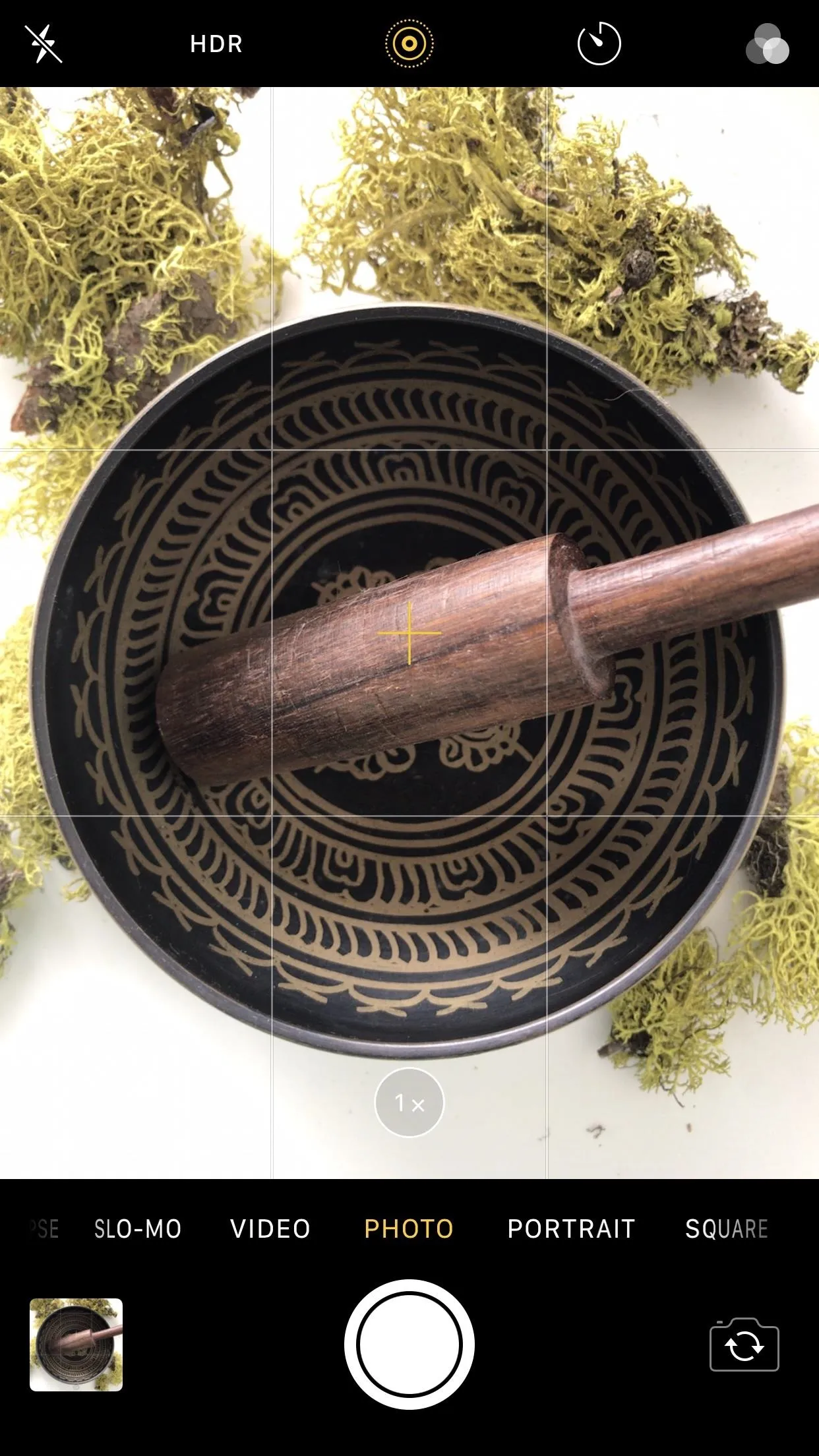 Close-up of a decorative mortar and pestle surrounded by greenery.