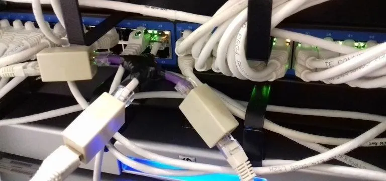Networking cables connected to a network switch.