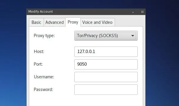 "Proxy settings interface for modifying account details."