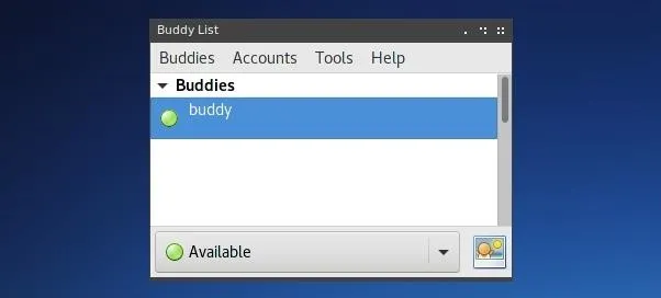 Buddy list interface showing available contacts.