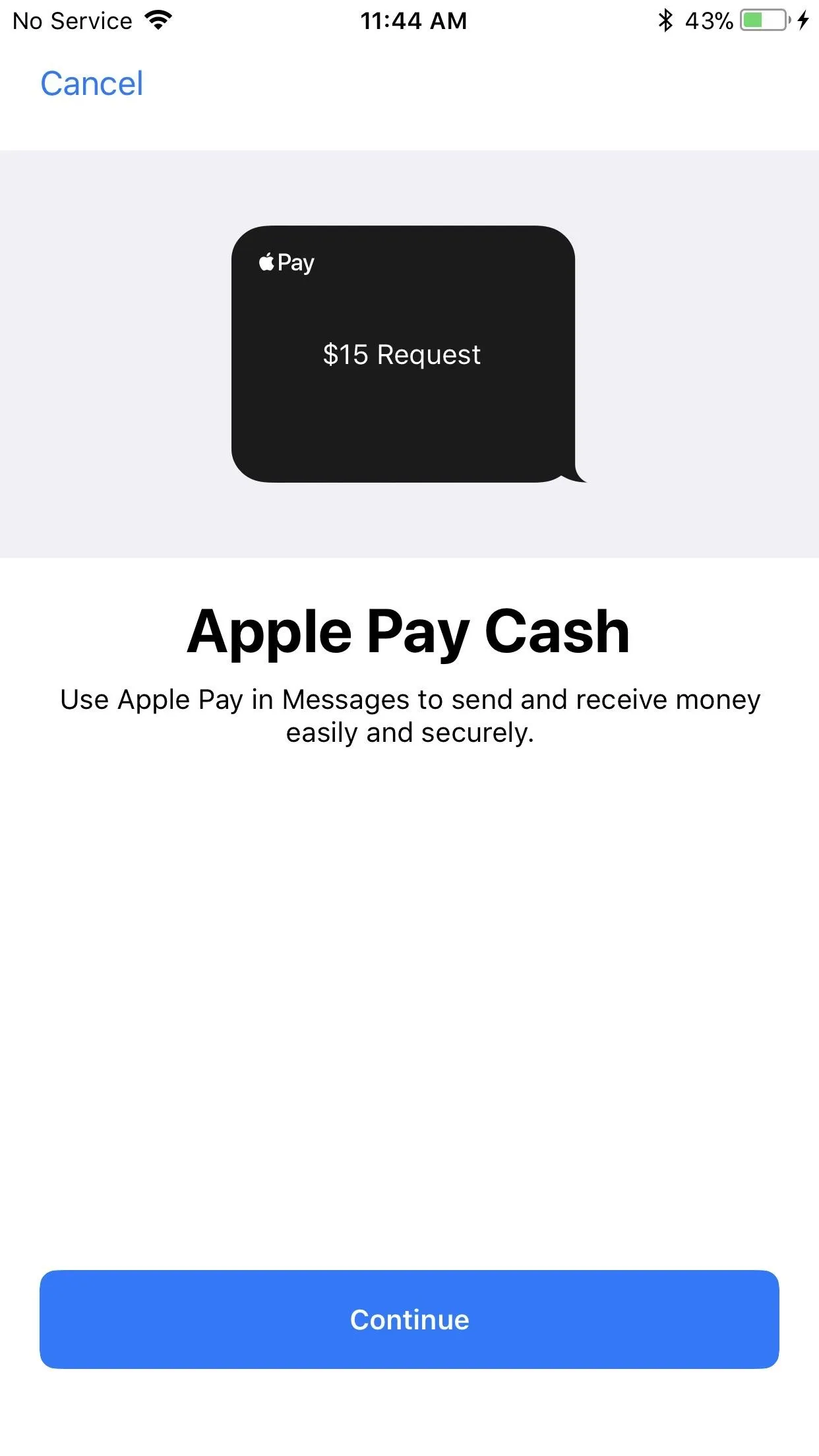 Apple Pay Cash screen with option to continue.