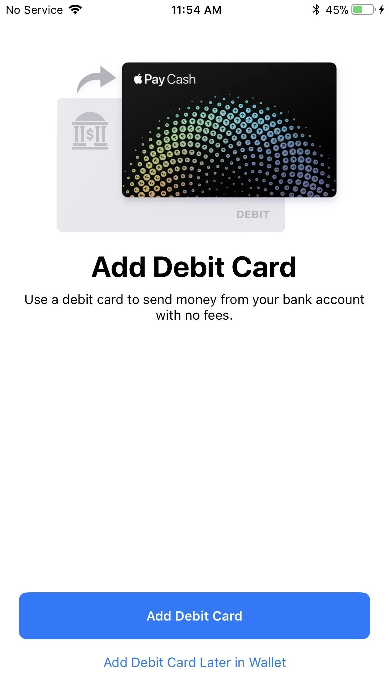 Add Debit Card screen on a mobile app displaying Apple Pay options.