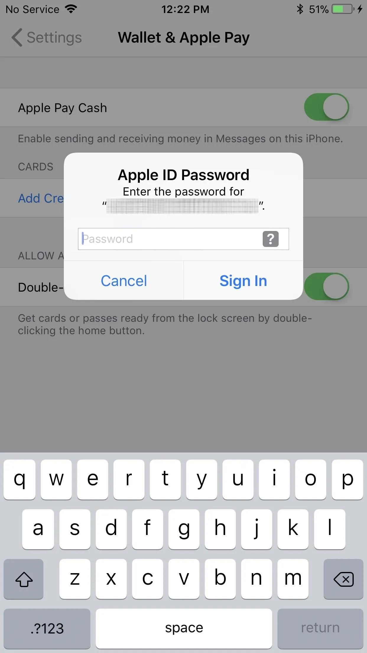 Apple ID password entry screen on an iPhone for Apple Pay settings.