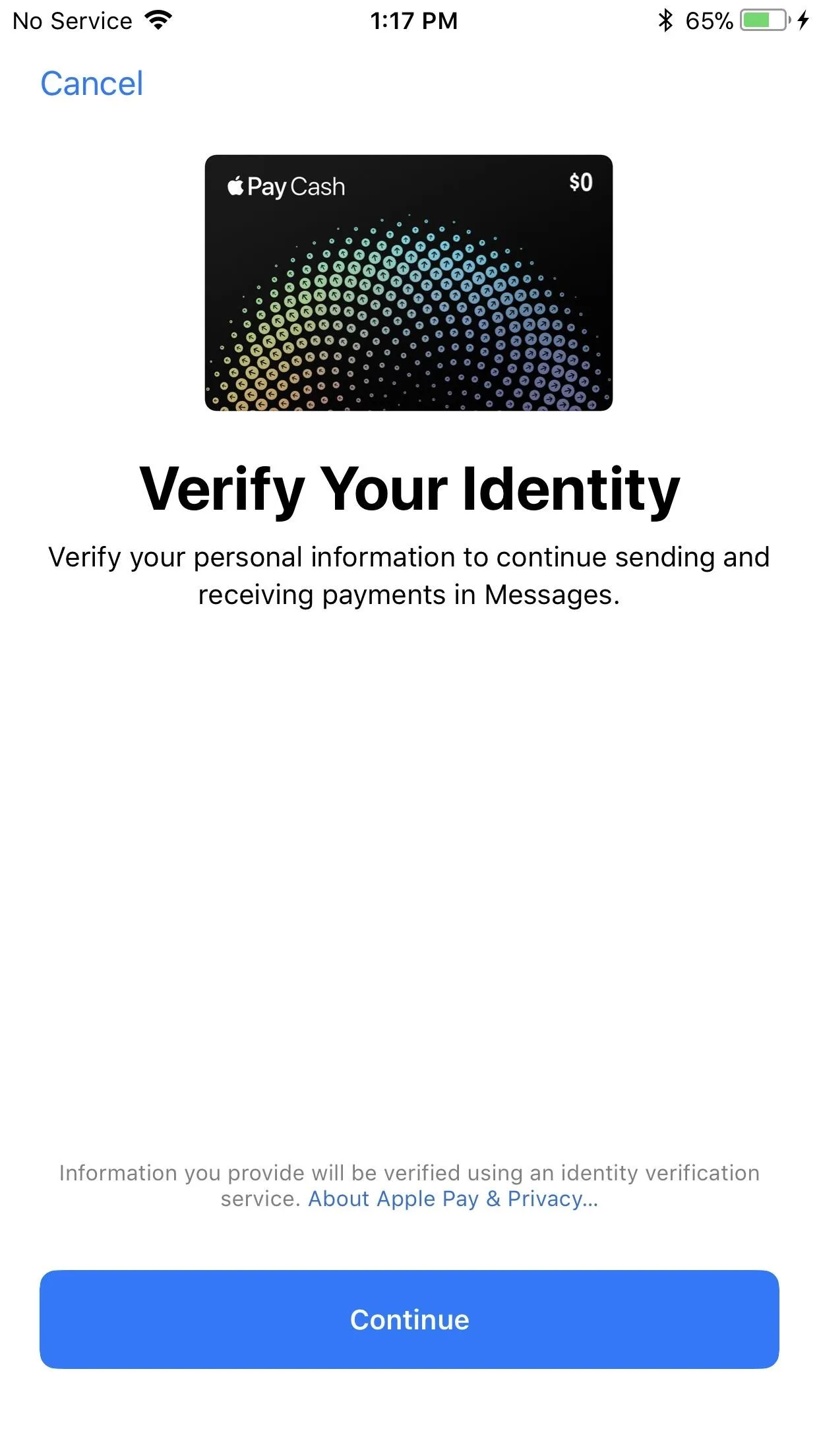 Verify Your Identity screen with instructions for managing payments and messages.