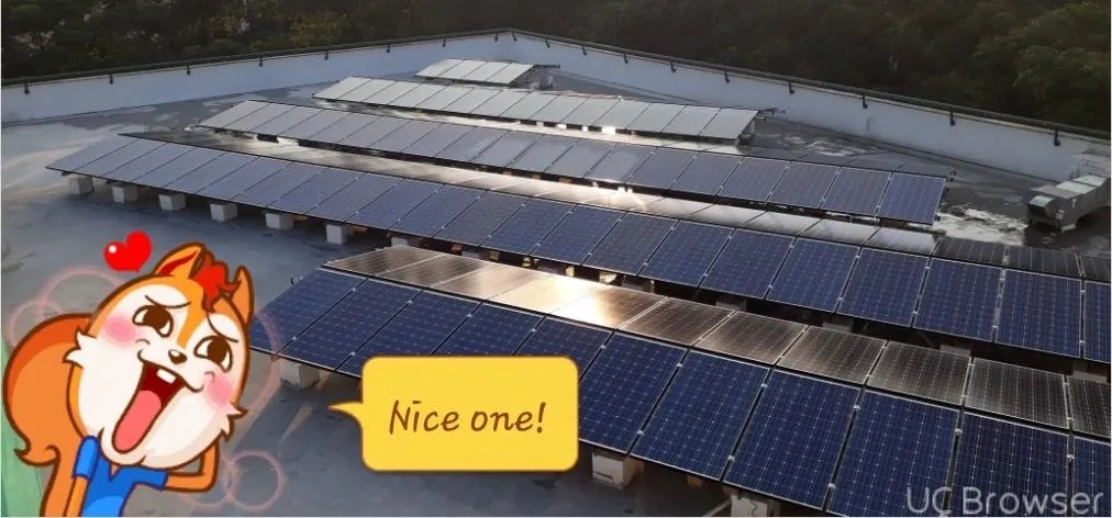 Solar panels installed on a rooftop with a cartoon character expressing excitement.