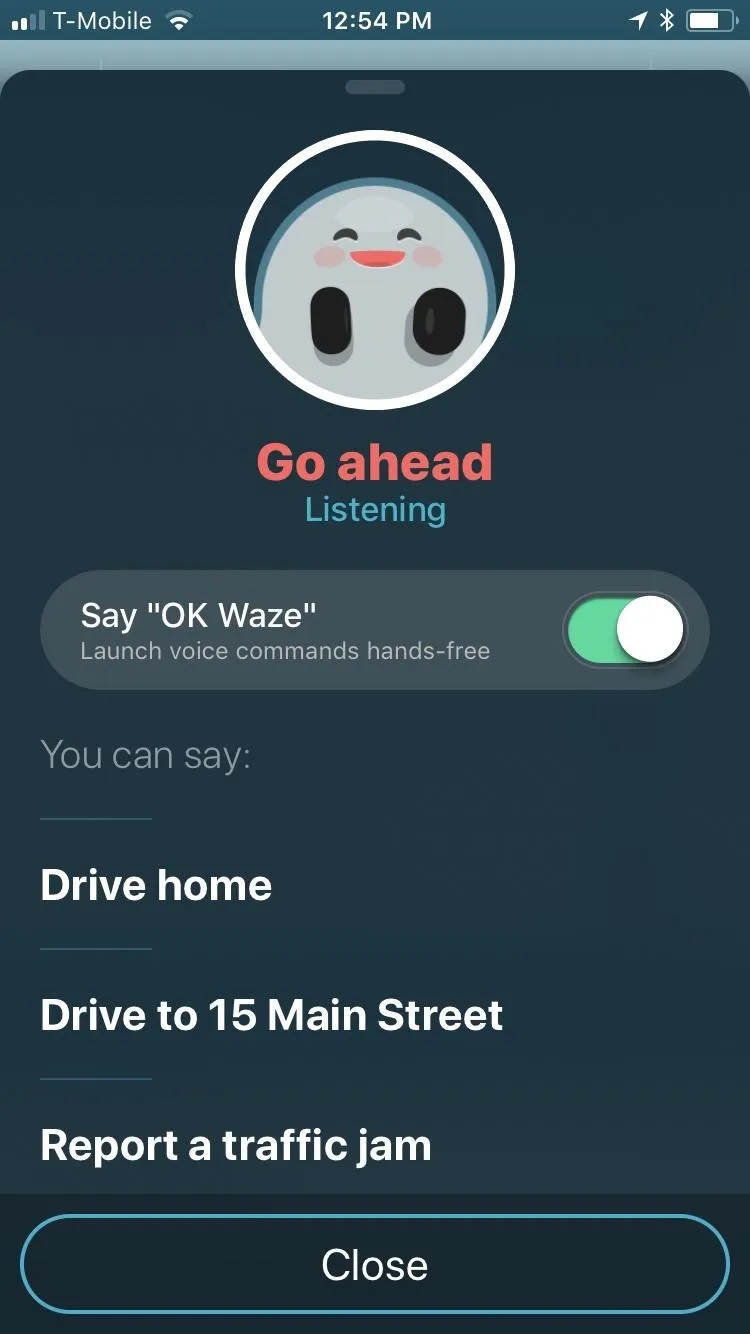 Screenshot of a navigation app interface displaying directions and options for driving home.