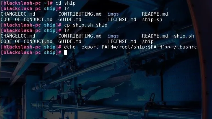 Terminal window displaying command-line operations for a project related to file management and setup.