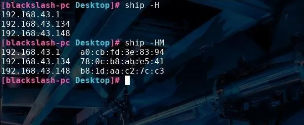 Command line interface displaying network commands and addresses.