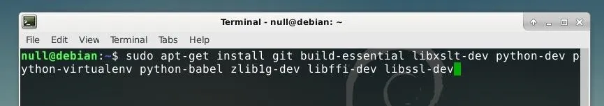 Terminal command executing package installation in Linux.