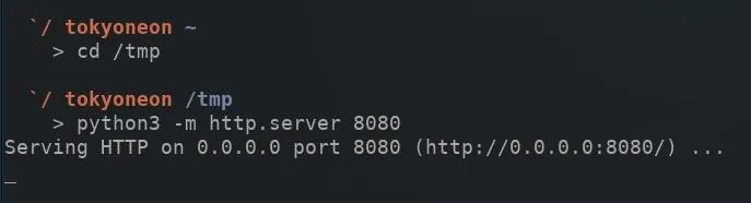 Command line interface showing a Python HTTP server running on port 8080.