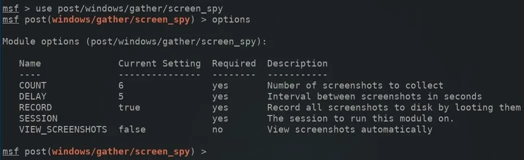 Code snippet displaying settings for a screenshot tool, including parameters like CHAT, DELAY, RESIZE, and OPTIONS.