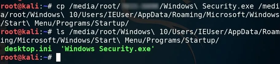 Command line interface displaying file path and commands related to 'Windows Security.exe'.